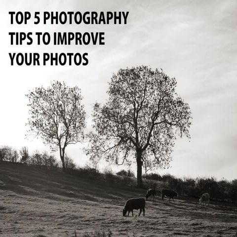 Top 5 photography tips to improve your photos
