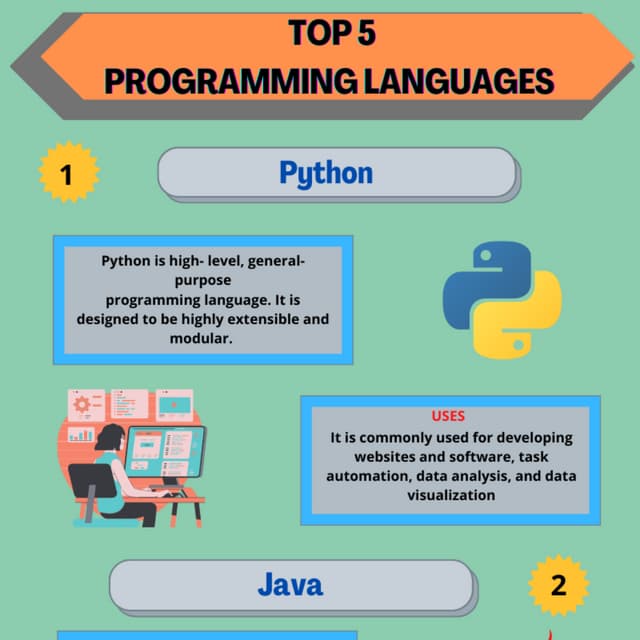 TOP 5 PROGRAMMING LANGUAGES.pdf