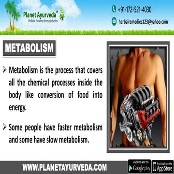 Top 6 Natural Ways To Increase Your Metabolism | Weight Loss