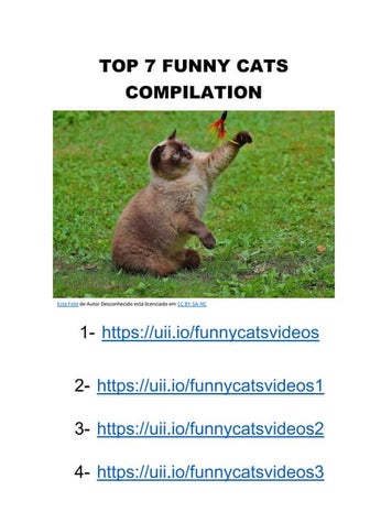 TOP 7 FUNNY CATS COMPILATION.pdf