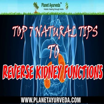 Top 7 Natural Tips to Reverse Kidney Functions
