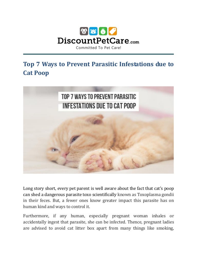 pregnant woman and cat litter boxes