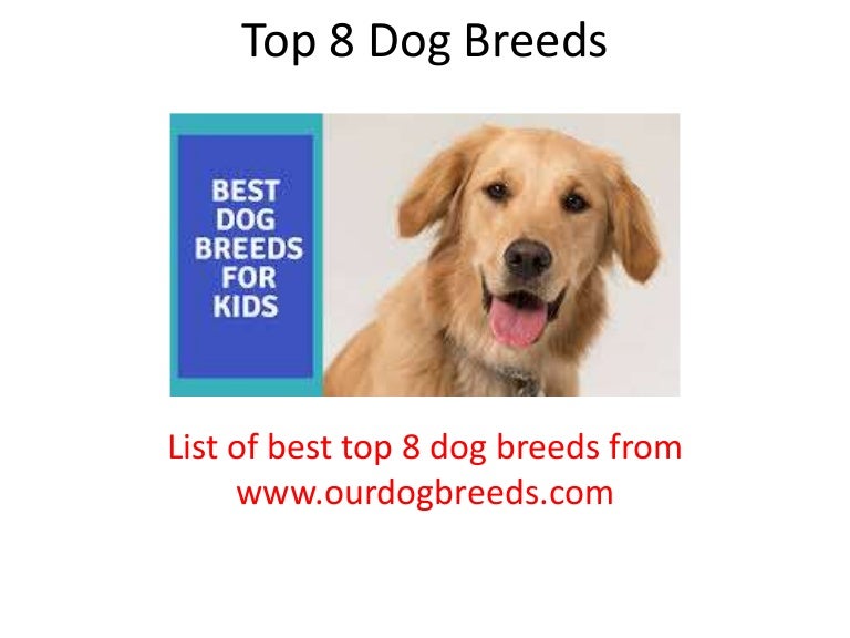 best dog breeds list