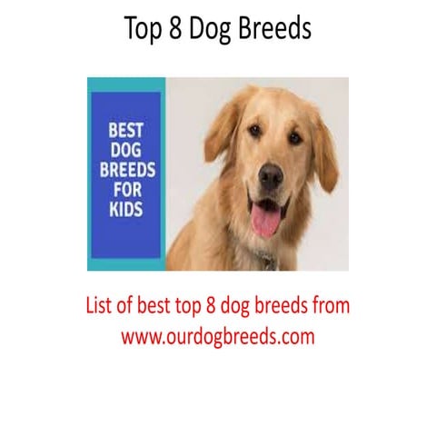 Top 8 dog breeds for families and kids | PDF