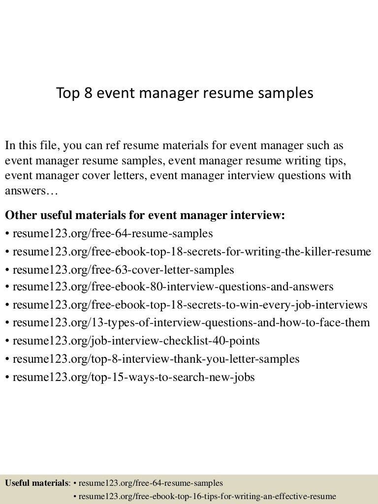 Resume it audit manager