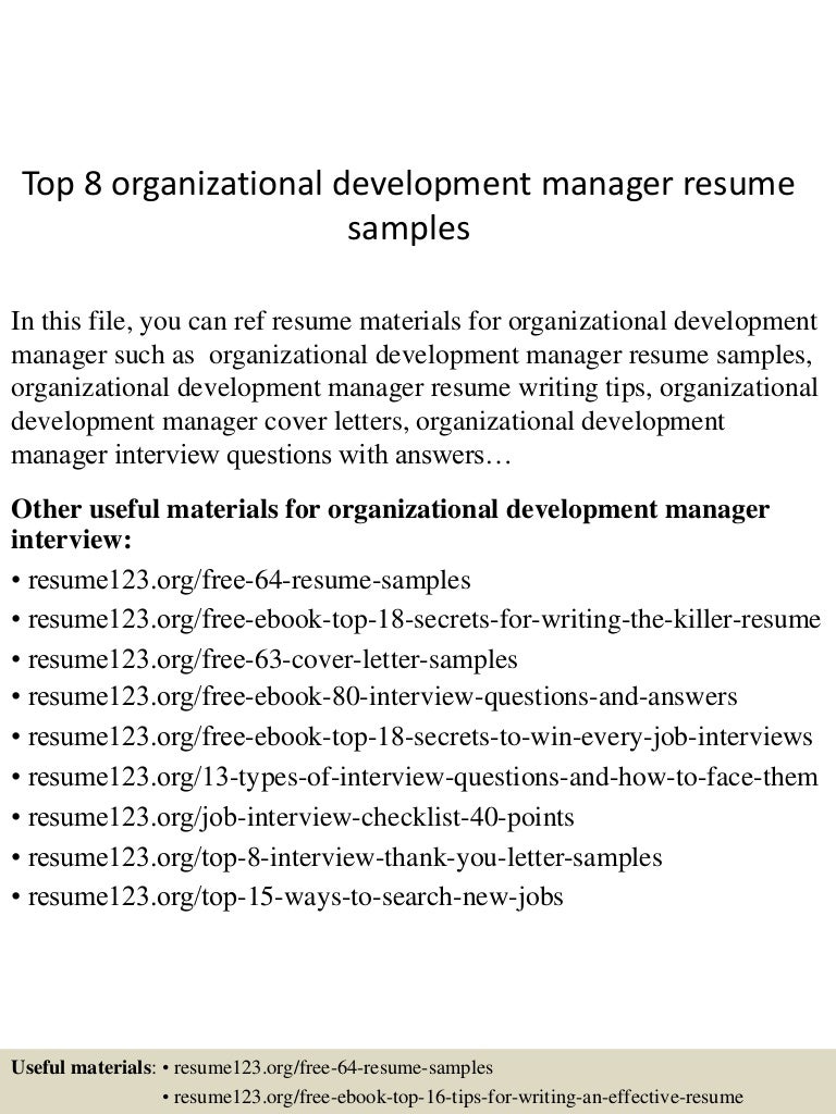development manager resume