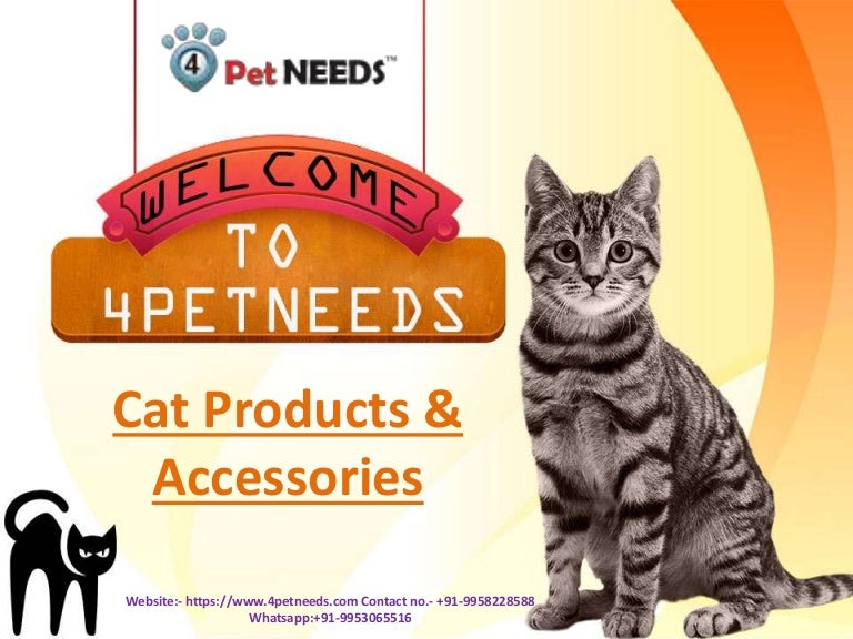 buy cat products online