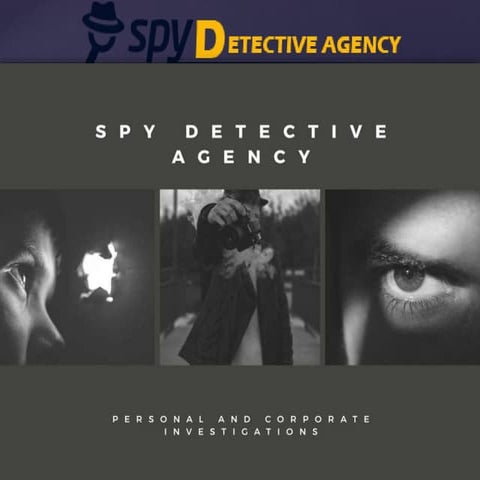 Private detective agency in delhi | PDF