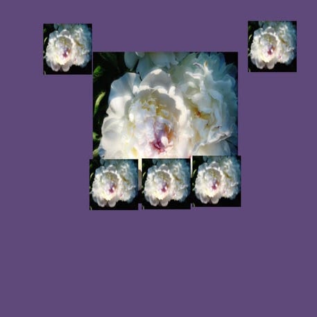 Topfold  blow on my petals softly