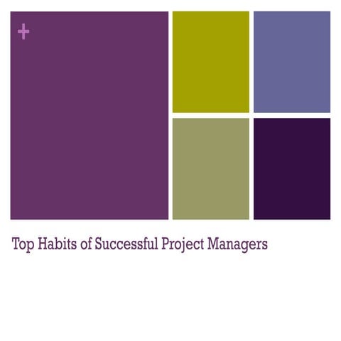 Top habits of successful project managers brown bag