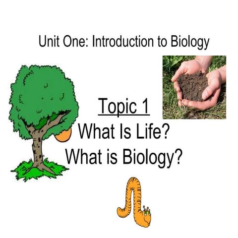 Topic 1 - What is Biology?