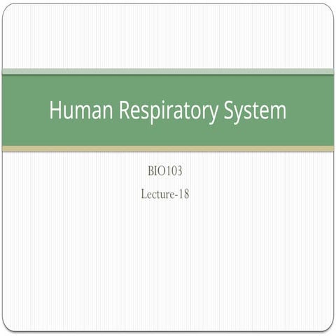 TopicRespiratory & Excretory System.pptx