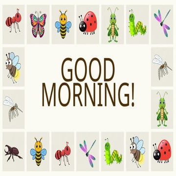 INSECTS for kindergarten-learners will be fun for this | PPTX