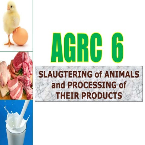 Slaughtering of Animal and Processing of their Products