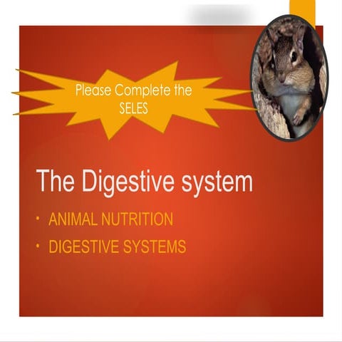 Topic12_The DIgestiveSystem System_L24AN (1) (1).pptx