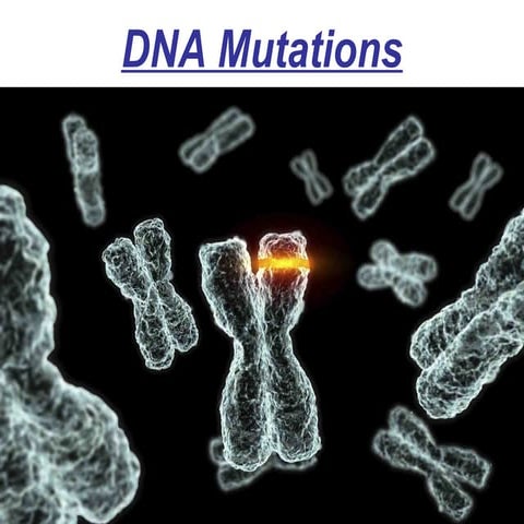 topic_13_-_DNA_mutations PPT for 4th quarter science 10