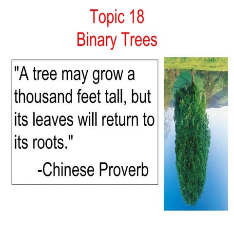 Topic18BinaryTrees.pptx