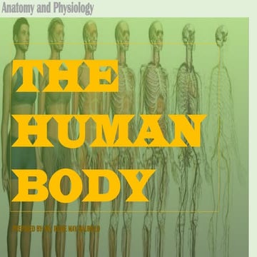 Chapter 001 the body & its constituent | PPT