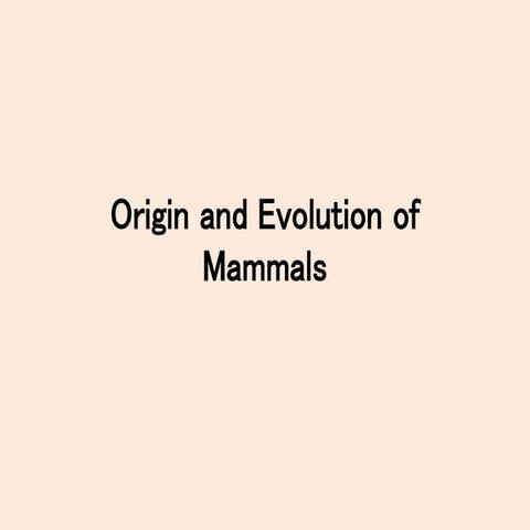 Origin and Evolution of Mammals.pptx