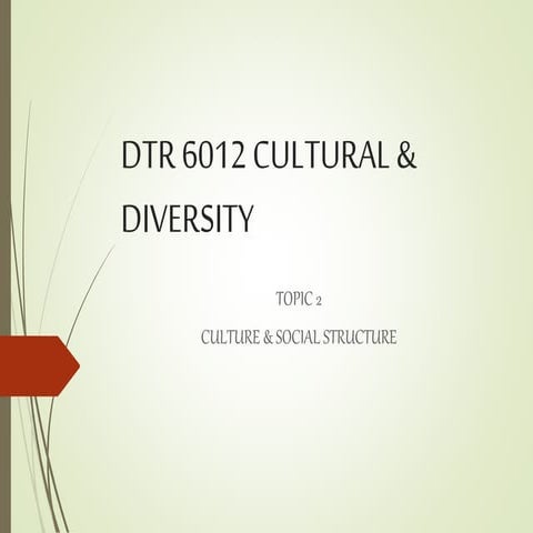 Culture and Social Structure