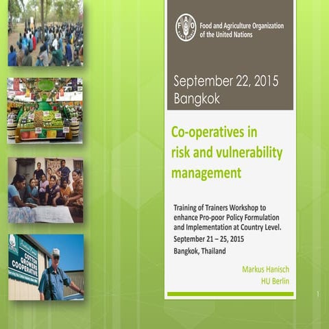 Co-operatives in risk and vulnerability management