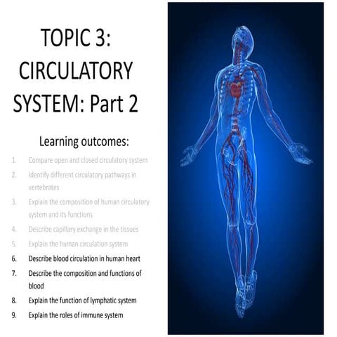 Topic 3 Circulatory System part 2