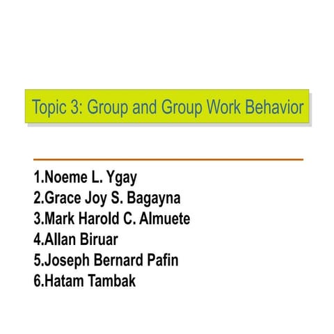 Topic 3 ( group and group work behavior )