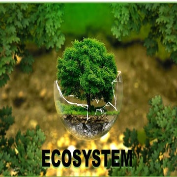 TOPIC_4-ECOSYSTEM REPORT IN ENVIRONMENTAL SCIENCE.pptx