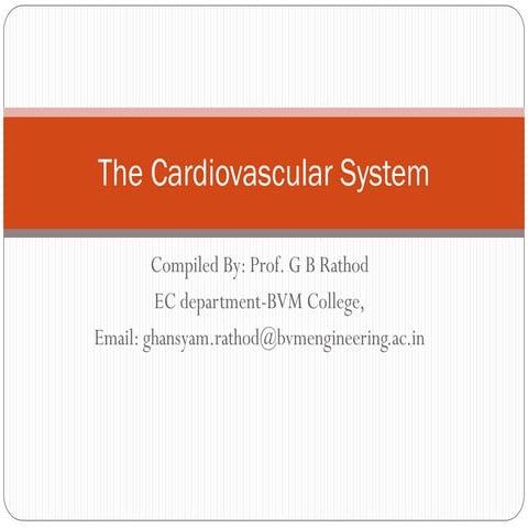 Cardiovascular system