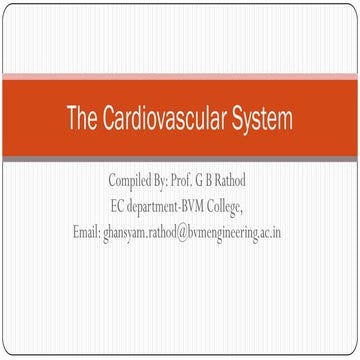 Cardiovascular System