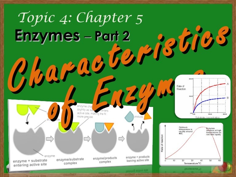 Topic 4 chapter 5 part 2 enzymes characteristics of enzymes