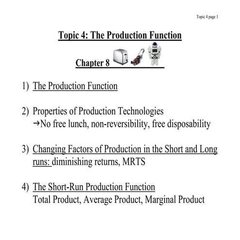 Production function