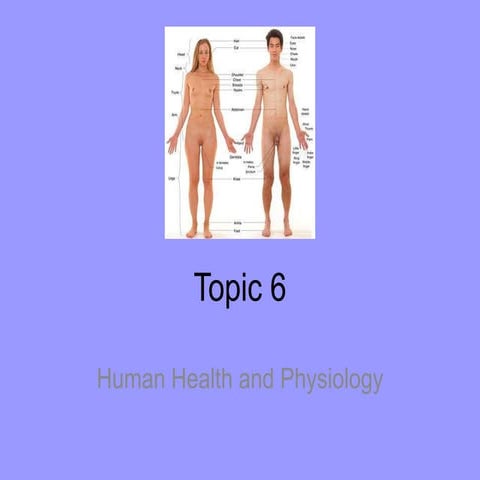 Topic 6: Human Health and Physiology