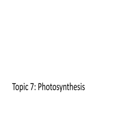 Topic 7  Photosynthesis
