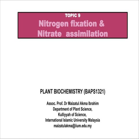 Nitrogen fixation and nitrogen assimilation