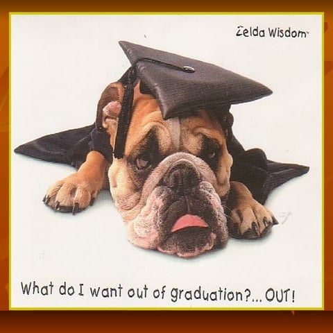 Topical, Opthalmic, Otic