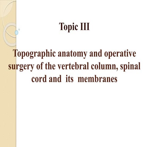 Surgery & anatomy of vertebral column and spinal nerves