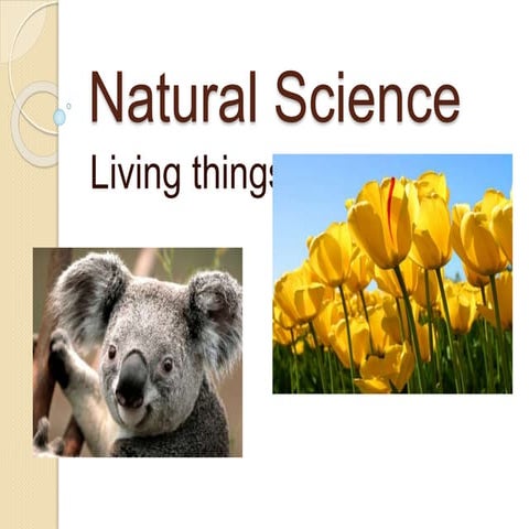 Topic summary living things