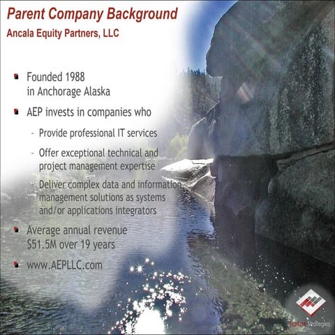 TopLine Strategies Overview