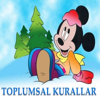 Toplumsal kurallar