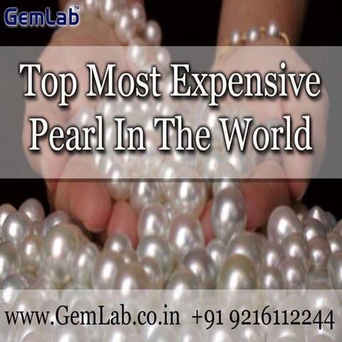 Top Most Expensive Pearl In The World | PPTX