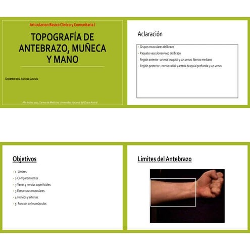 Anatomía regional de la mano | PPTX