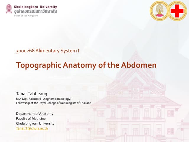Topographic anatomy of abdomen