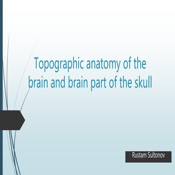 Topographic anatomy of the brain and brain part of the skull