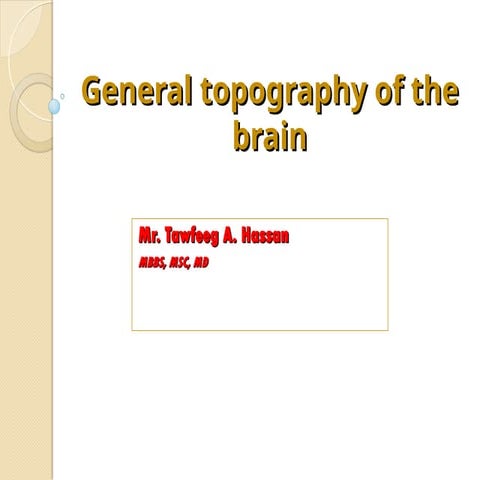 topographycfgdyygfssdghhgfffgggxfggv.ppt