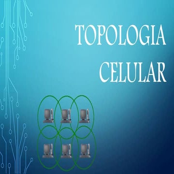 Topologia celular