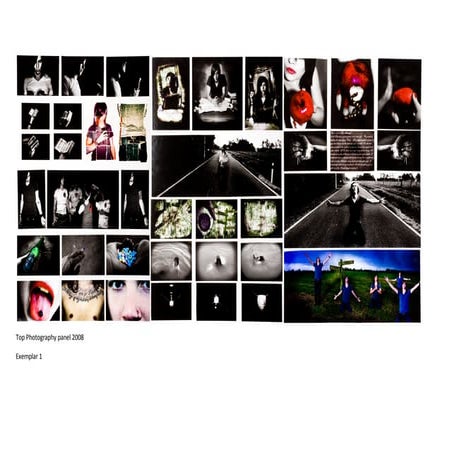 Top Photography Panels 2008