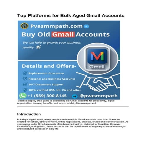 Top Platforms for Bulk Aged Gmail Accounts.docx