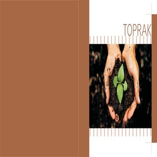 Toprak