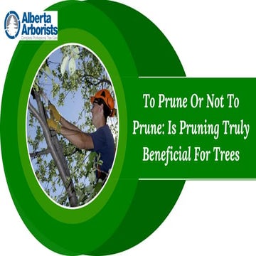 To Prune Or Not To Prune Is Pruning Truly Beneficial For Trees